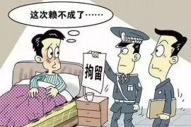 东区融资清欠服务